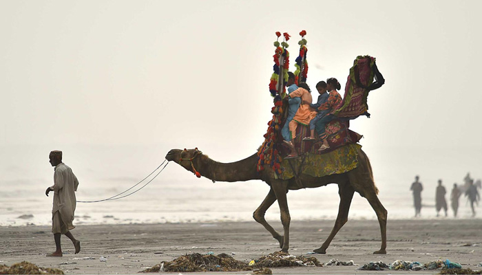Children enjoy a camel ride at the Sea View beach in Karachi on June 16, 2023. — INP