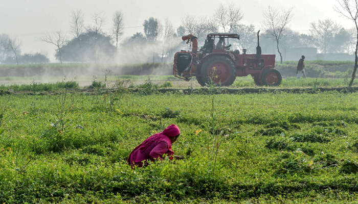 Agriculture Department officials on a tractor spray pesticides to kill locusts as a farmer works in a field in Pipli Pahar village in Pakistans central Punjab province in this picture taken on February 23, 2020. — AFP