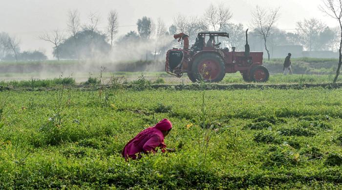 Defence forces' corporate farming initiative gets jumpstart