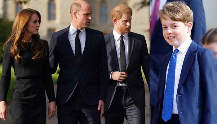 Fiercely protective Kate Middleton wont let Harry harm George