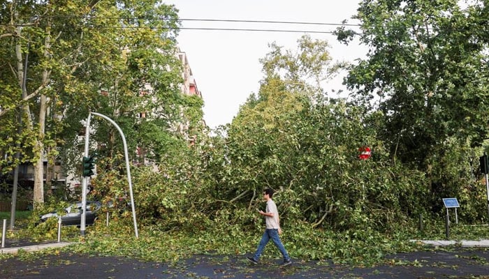 A view shows fallen trees following thunderstorms and torrential rain in Milan, Italy July 25, 2023. — Reuters