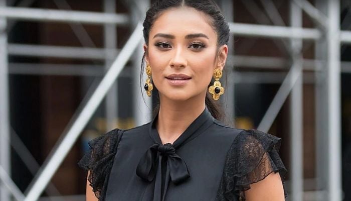 Shay Mitchell turns heads in a corset while attending Drake’s party