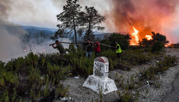 Firefighters attempt to extinguish a raging forest fire near the town of Melloula in northwestern Tunisia close to the border with Algeria on July 24, 2023. — AFP