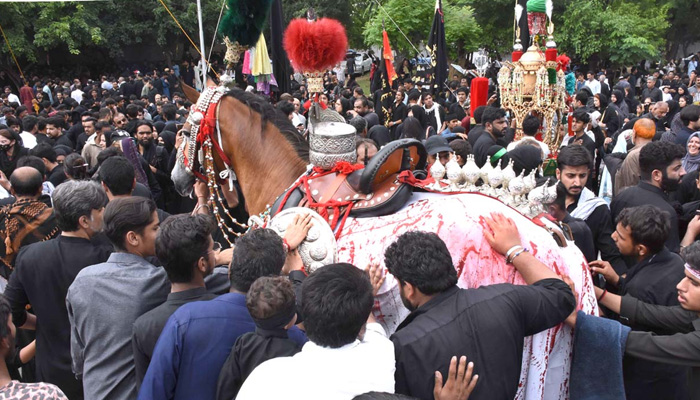 Mourners touch the Zuljinah in the main procession of 9th Muharram observing Youm-e-Ashura at G-6 Road in Islamabad on July 28, 2023. — APP