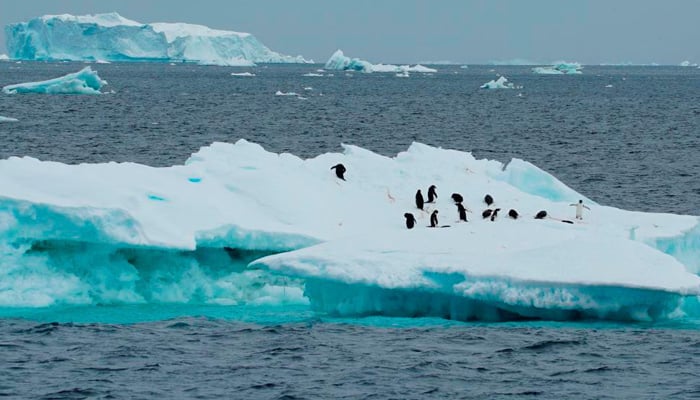 A photograph of penguins gathered on a broken piece of iceberg. — AFP/File