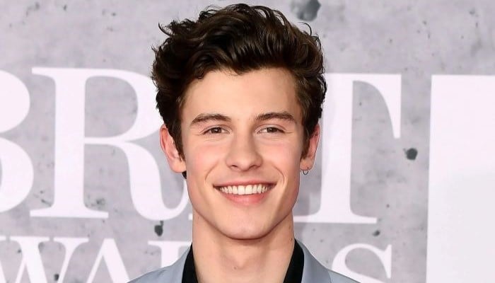 Shawn Mendes shows off ripped abs on serene Ibiza getaway
