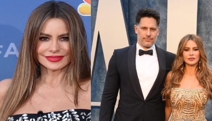 Sofia Vergara post-divorce plans unveiled: Find out