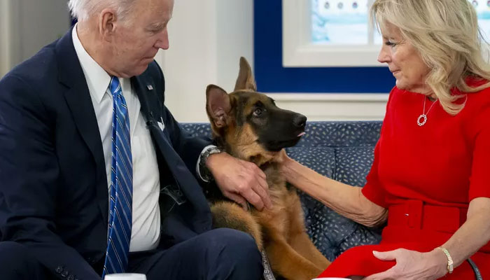 Watch: White House briefing takes playful turn as Commander Biden becomes topic of discussion