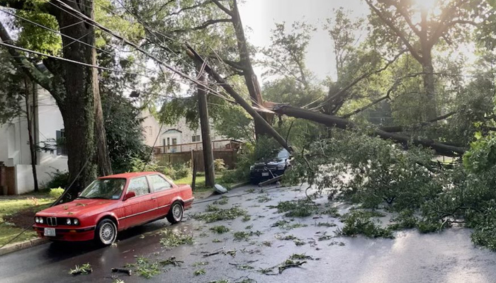 Storm damage area command established 4400 block Newark St NW. PIO was on the scene in this picture on July 29, 2023. — Twitter/@dcfireems