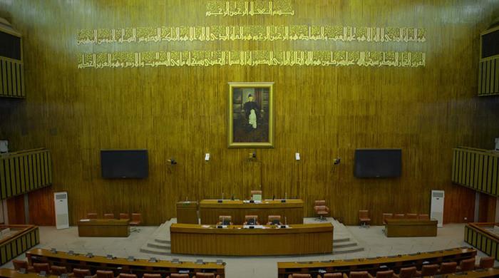 Senate 'drops' bill seeking ban on 'violent, extremist' organisations in political arena