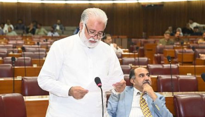 Minister for Parliamentary Affairs Murtaza Javed Abbasi. — APP