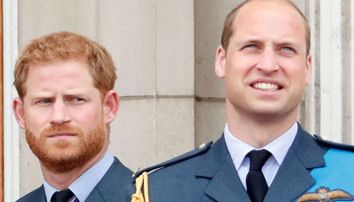 Prince William, Prince Harry born out of love to King Charles, Princess Diana