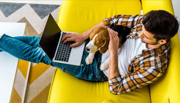 Australians demand WFH flexibility beyond the pandemic. ia.acs.org.au