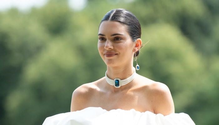 Kendall Jenner showcases her sculpted midriff in a chic black crop top