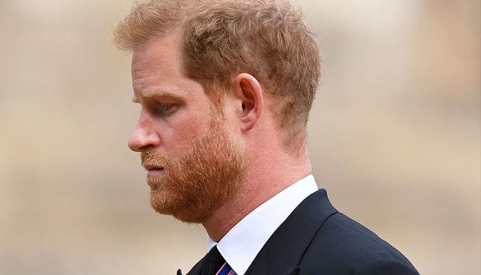 Prince Harry has ‘largely failed’: ‘Scored a few blows but not a single knockout’