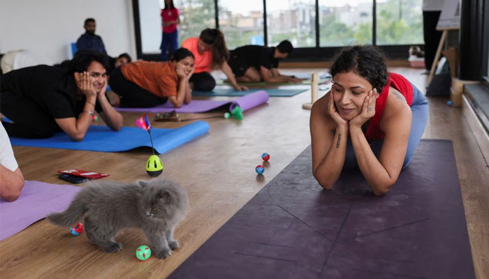 Surbhi Sachdeva, a yoga trainer, looks on as participants perform yoga as the kittens play around them at a yoga session, which was organised by The Paw Hour, at a studio in New Delhi, India, August 6, 2023. — Reuters