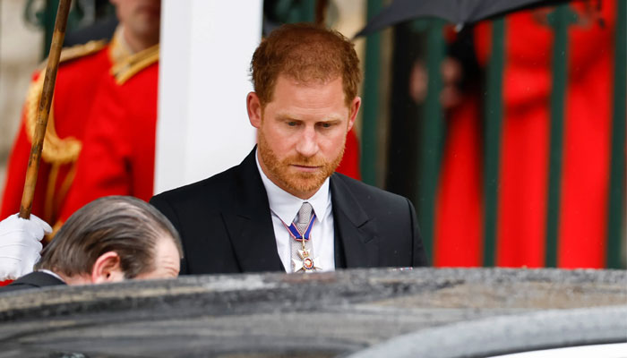 Prince Harry should learn ‘blood is thicker than Netflix’