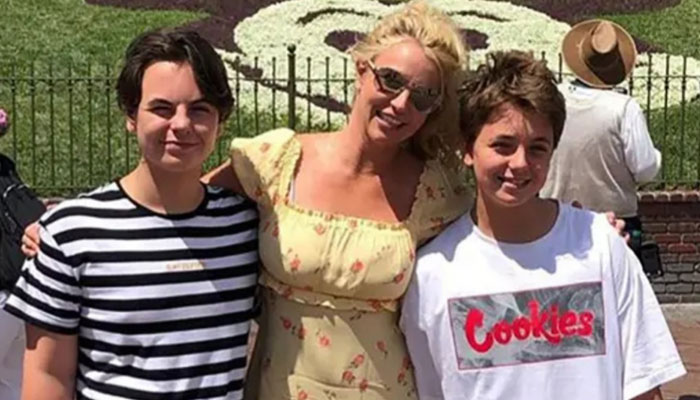Britney Spears sons and ex remained safe from the raging wildfire in Hawaii