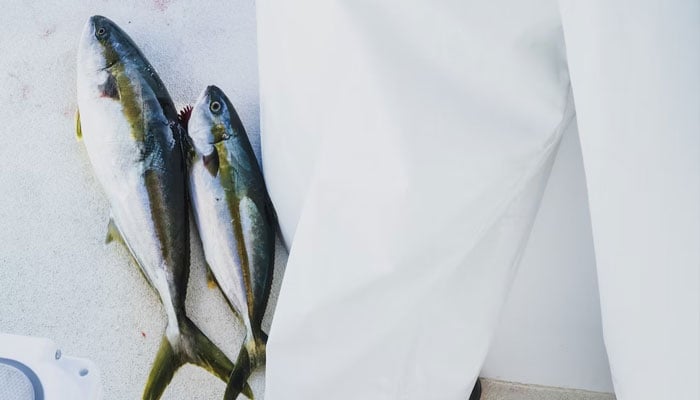 A representational image. — Unsplash