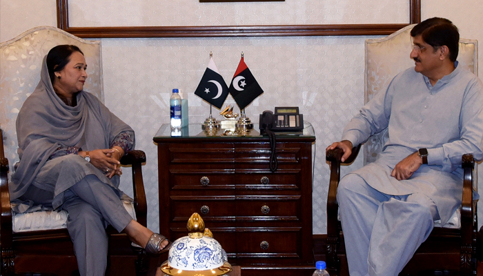 Sindh Assembly Opposition Leader Rana Ansar (L) and Chief Minister Murad Ali Shah (R) in a meeting at CM House, Karachi. — Twitter/SindhCMHouse