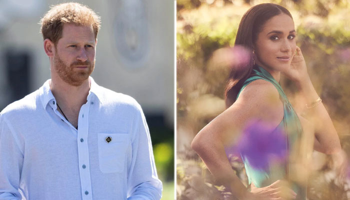 Meghan Markle’s ‘dream’ is becoming Prince Harry’s living ‘nightmare’