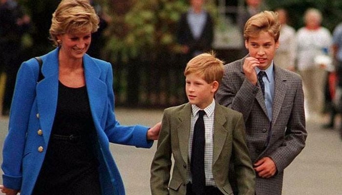 Prince Harry honours late mother Princess Diana