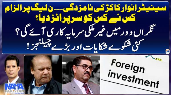 Will there be foreign investment during caretaker setup?
