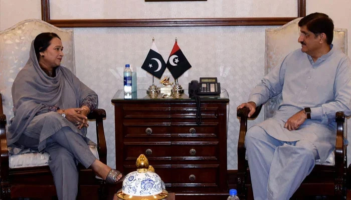 Sindh Assembly Opposition Leader Rana Ansar (L) and Chief Minister Murad Ali Shah in a meeting at CM House, Karachi on August 12. — X/SindhCMHouse