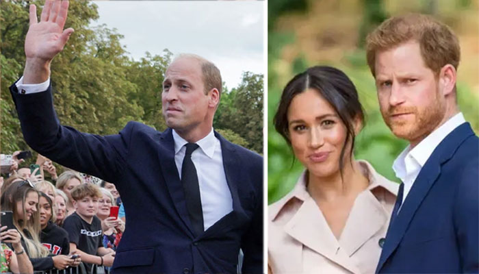 Prince Harry’s ‘given it all up’ for Meghan Markle: ‘Yet Prince William wins