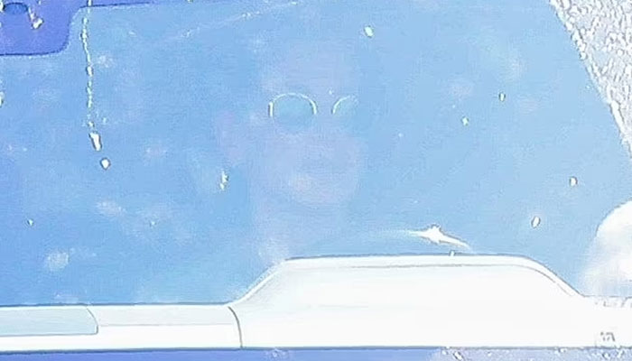 ‘Grieving’ Sandra Bullock makes first appearance since Bryan Randall death: Photo
