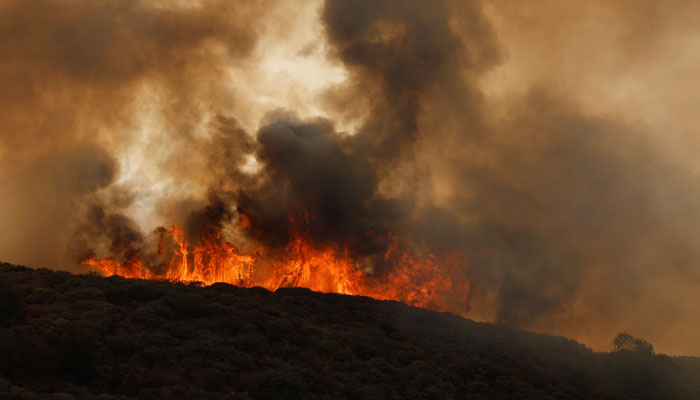 The image shows a wildfire in Spain. — Reuters/File