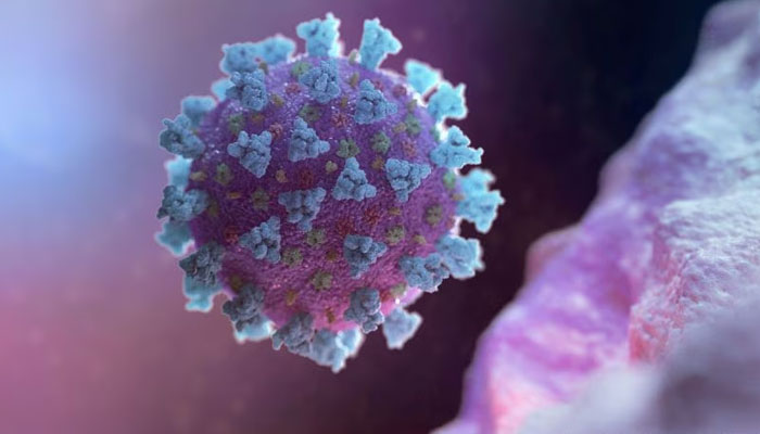 A computer image created by Nexu Science Communication and Trinity College in Dublin shows a model structurally representative of a betacoronavirus, the type of virus linked to Covid-19. — Reuters