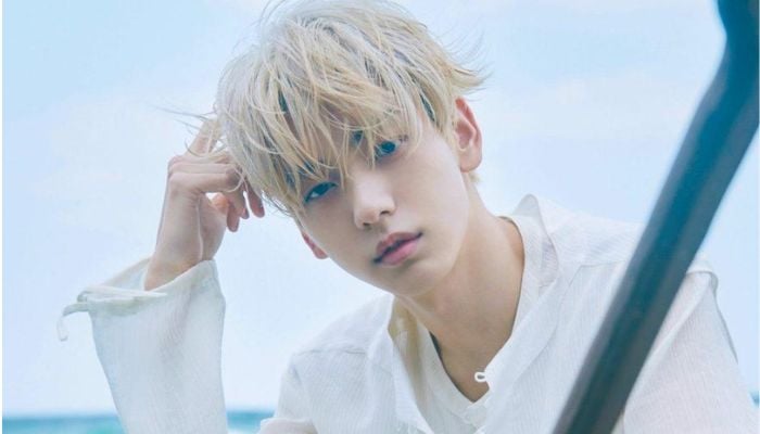TXT’s Soobin reveals the tragic news about his pet hedgehog