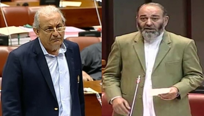 Pakistan Peoples Party (PPP) Senator Raza Rabbani (left) and Jamaat-e-Islami (JI) Senator Mushtaq Ahmad Khan. — APP/File