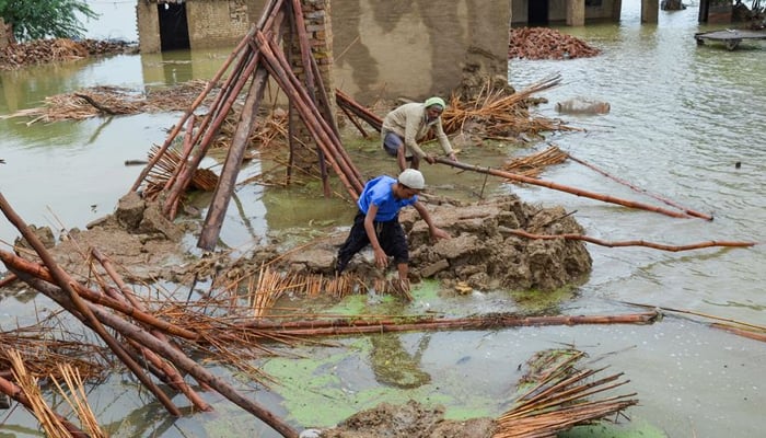 People retrieve bamboos from a damaged house following rains and floods during the monsoon season in Dera Allah Yar, district Jafferabad, Balochistan, Pakistan August 25, 2022. — Reuters