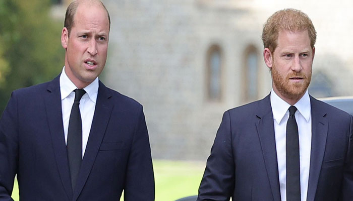 Prince William knows Harry acts out because of one reason