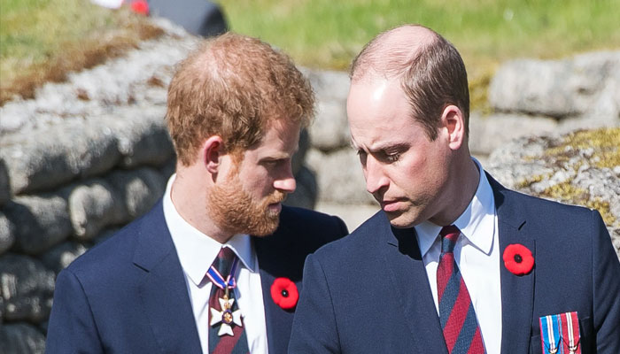 Prince William sees worst nightmare in Prince Harry: Disgusted