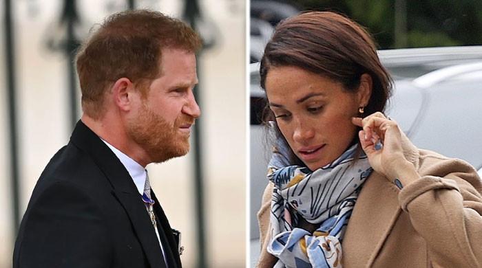 Meghan Markle, Prince Harry need Hollywood's version of a 'booster seat' - Vimarsana News
