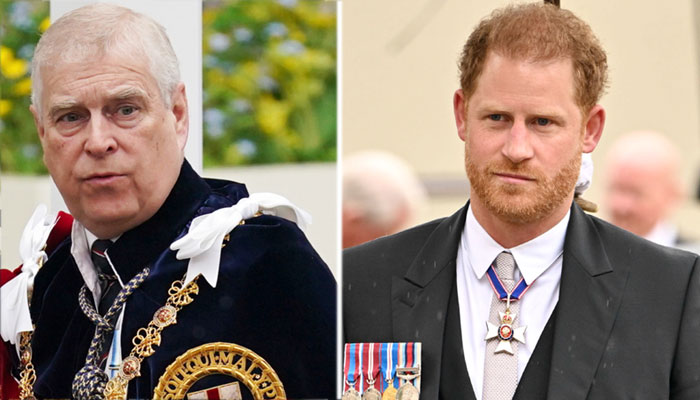 Prince Harry, Prince Andrew are ‘quite exhausting to watch’