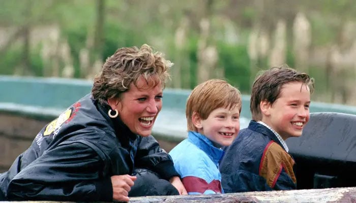 What Princess Diana told her sons over 'last phone call' on night of death