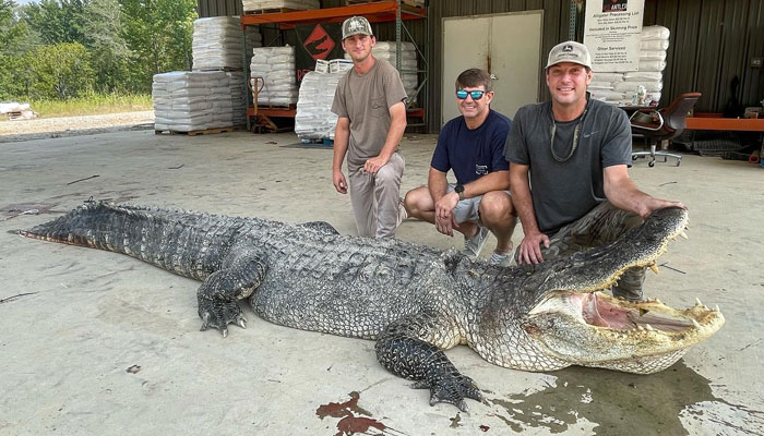 A group of hunters from the Mississippi Department of Wildlife, Fisheries and Parks pose with a dead 14-foot-long crocodile. — Facebook/Mississippi Department of Wildlife, Fisheries, and Parks
