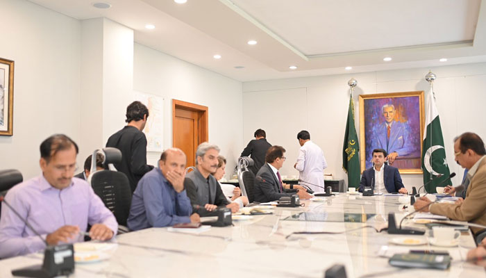 Special Assistant to the Prime Minister on Overseas Pakistanis Jawad Sohrab Malik in meeting with heads of key departments on August 29, 2023. — Press release