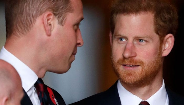 Prince Harry’s making it clear he has a ‘bone to pick’ with Prince William