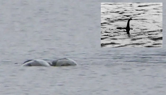 New image of Loch Ness monster. — Chie Kelly
