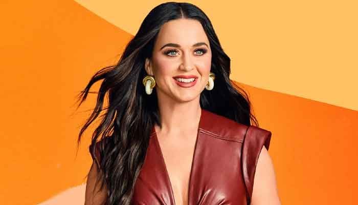 Katy Perry stuns Instagram with bold restroom snap as she teases ...