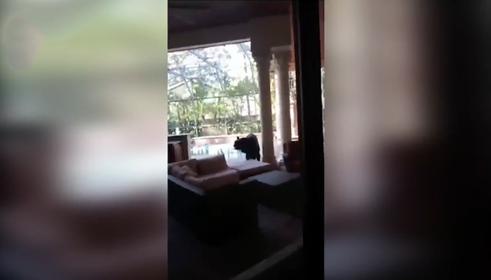 This screengrab taken from a video released on September 4, 2023, shows a three-legged bear sitting in the premises of a house in Lake Mary.— WESH