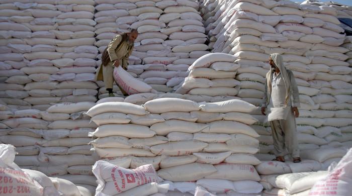 Punjab govt blames LHC stay orders for sugar crisis
