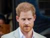 Prince Harry can ‘last a day or two’ but ‘can’t maintain popularity