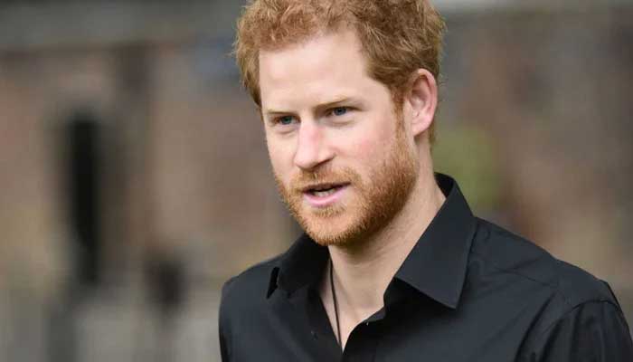 German, UK governments stand behind Prince Harry