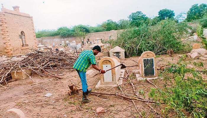 A worker is chopping off a bush to restore the Jewish cemetery of Mewa Shah — Photo by author